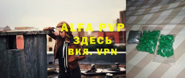 дмт Белокуриха