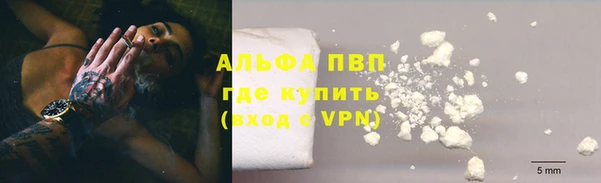 дмт Белокуриха